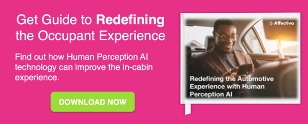 how to improve the in cabin experience with human perception AI